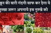 5 Natural Foods That Purify Blood And Keep You Healthy खून की सारी गंदगी साफ कर देगा ये नुस्खा