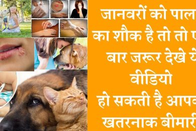 Top Scary Diseases You Can Get from Your Pets जानवरों को पालने का शौक है तो रखें सावधानी