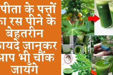 Benefits of drinking papaya leaves juice पपीते के पत्ते का रस पीने के फायदे