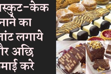 Start biscuit cake making plant in low investment and earn good income