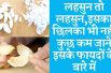 Health benefits of garlic peels | Shocking Benefits Of Garlic Peel