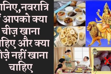 What should be eaten in Navaratri and what things should be avoided   Navratri special food eat and