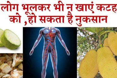 Side effects of eating excess jackfruit (kathal) | भूलकर भी ये लोग न करें कटहल का सेवन