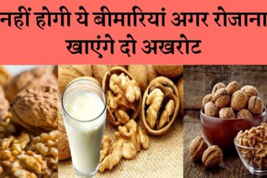 Eating walnuts daily is a great benefit | रोजाना अखरोट खाने के है बेहतरीन फायदे