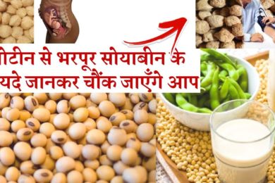Soybean health benefits  | हाई प्रोटीन से भरपूर सोयाबीन के 6 फायदे