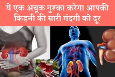 आपकी किडनी की पूरी गंदगी 1 बार में ही साफ कर देंगे ये जूस |  Natural drinks to cleanse your kidneys