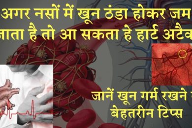 अगर नसों में खून ठंडा होकर जम जाता है तो आ सकता हे हार्ट अटैक? जानें खून गर्म रखने के बेहतरीन टिप्स