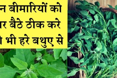 pigweed benefits || बथुआ बड़ी बड़ी बीमारियों का इलाज है #Chenopodiumalbum