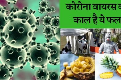 Benefits Of Pineapple In Corona Time इस फ्रूट से कोरोना वायरस से मिलेगा छुटकारा☺