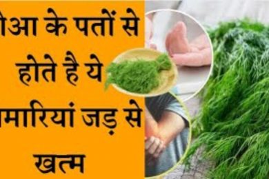 डायबिटीज और गठिया का अचूक इलाज सोआ के पत्ते Benefits of dill leaves
