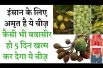 Health benefits mahua आपको चौंका  देगी  महुआ के ये फायदे