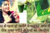 Papaya leaves juice Benefits || पपीता के पत्ते किसी अमृत से कम नहीं ,खासी ,कमजोरी ,जोड़ो में दर्द