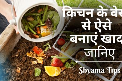 किचन के वेस्ट से ऐसे बनाएं खाद | How to Make Organic Compost at Home