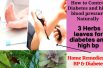 How to Control Diabetes Naturally | 3 Leaves Cantrol Diabetes and High Blood Pressure