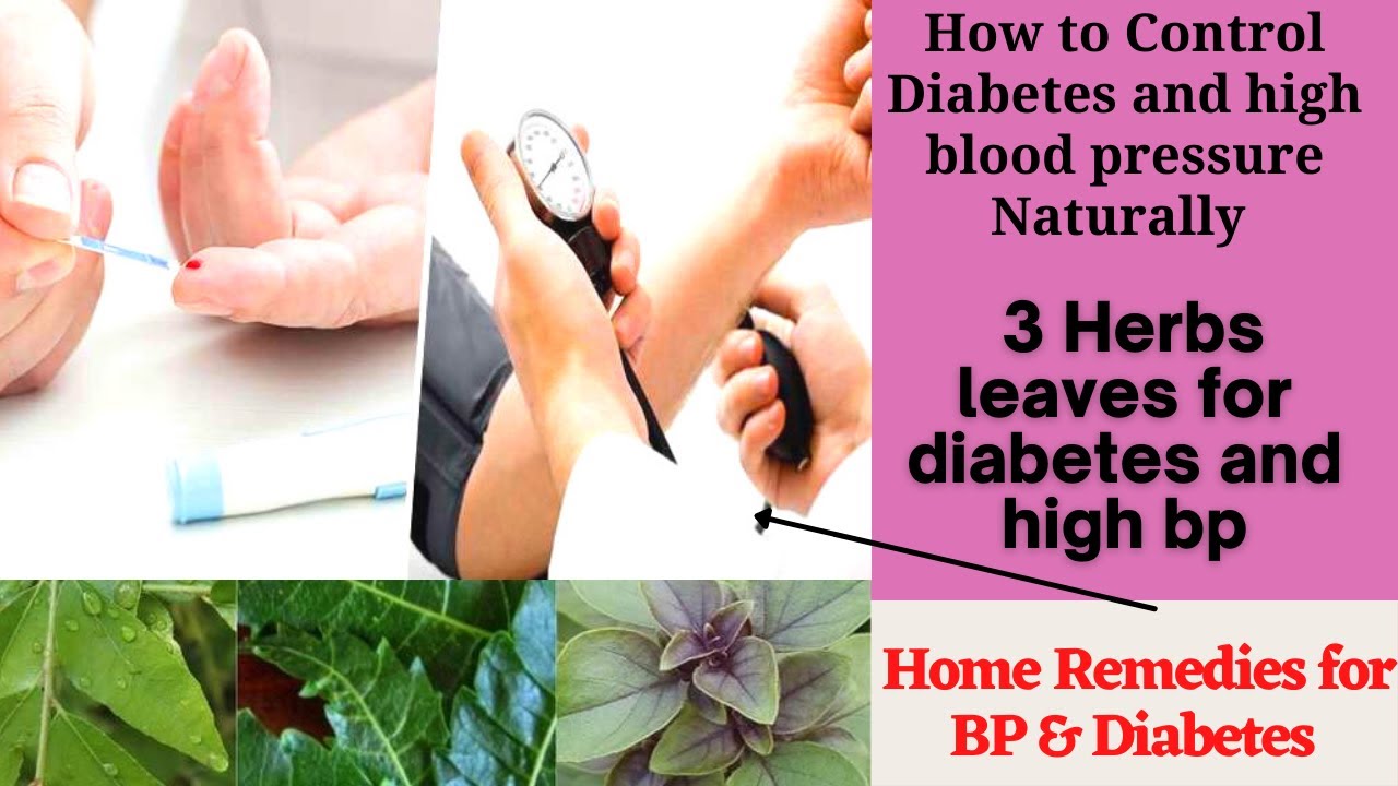 How to Control Diabetes Naturally | 3 Leaves Cantrol Diabetes and High Blood Pressure