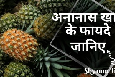 अनानास खाने के फायदे | Benefits of Eating Pineapple | Pineapple Health Benefits