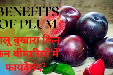 Benefits Of Plum(Aaloo Bukhaara) आलू बुखारा खाने के फायदे