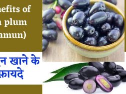 Health Benefits of jaamun ( java plum) जाने जामुन खाने के फ़ायदे