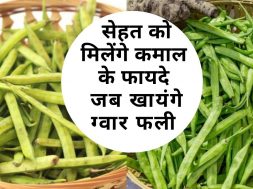 ग्वार फली खाने के बेमिसाल फायदे | Benefits of eating cluster beans | Cluster Beans for Heart ,Bones