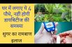 Plants that helps to control diabetes || ये 4 पौधे करंगे आपके डायबिटीज की समस्या को जड़ से खतम