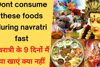 नवरात्रि में क्या खाना चाहिए और क्या नहीं || What should be eaten in Navaratri || Navratri Food 2021