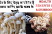 Benefits of Mushroom || जानिए मशरूम खाने के खास फायदे || Health Benefits of Mushroom