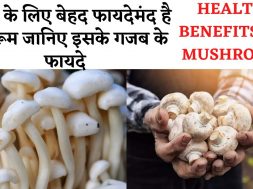 Benefits of Mushroom || जानिए मशरूम खाने के खास फायदे || Health Benefits of Mushroom
