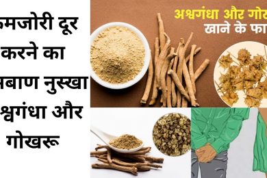 Ashwagandha and gokshura benefits  ||अश्वगंधा और गोखरू का एकसाथ सेवन सेहत के लिए बहुत फायदेमंद है