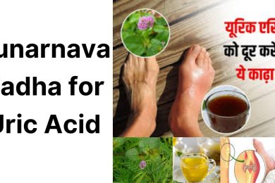 Punarnava Kadha Benefits || यूरिक एसिड की समस्या में फायदेमंद है पुनर्नवा काढ़ा #uricacidtreatment