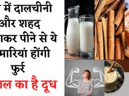 Milk With Cinnamon And Honey Benefits In Hindi || दालचीनी दूध और शहद के फायदे  || Milk Benefits