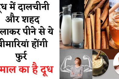 Milk With Cinnamon And Honey Benefits In Hindi || दालचीनी दूध और शहद के फायदे  || Milk Benefits