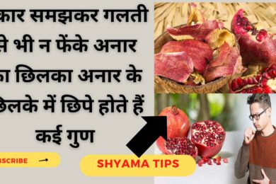 Pomegranate Peel Health Benefits || अनार के छिलके के फायदे ||  Pomegranate Peel