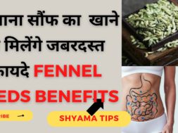 Fennel Seeds Benefits गर्मी के मौसम में जरूर खाएं सौंफ, बॉडी को मिलेंगे बेहतरीन फायदे saunf ke fayde