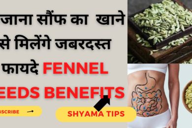 Fennel Seeds Benefits गर्मी के मौसम में जरूर खाएं सौंफ, बॉडी को मिलेंगे बेहतरीन फायदे saunf ke fayde