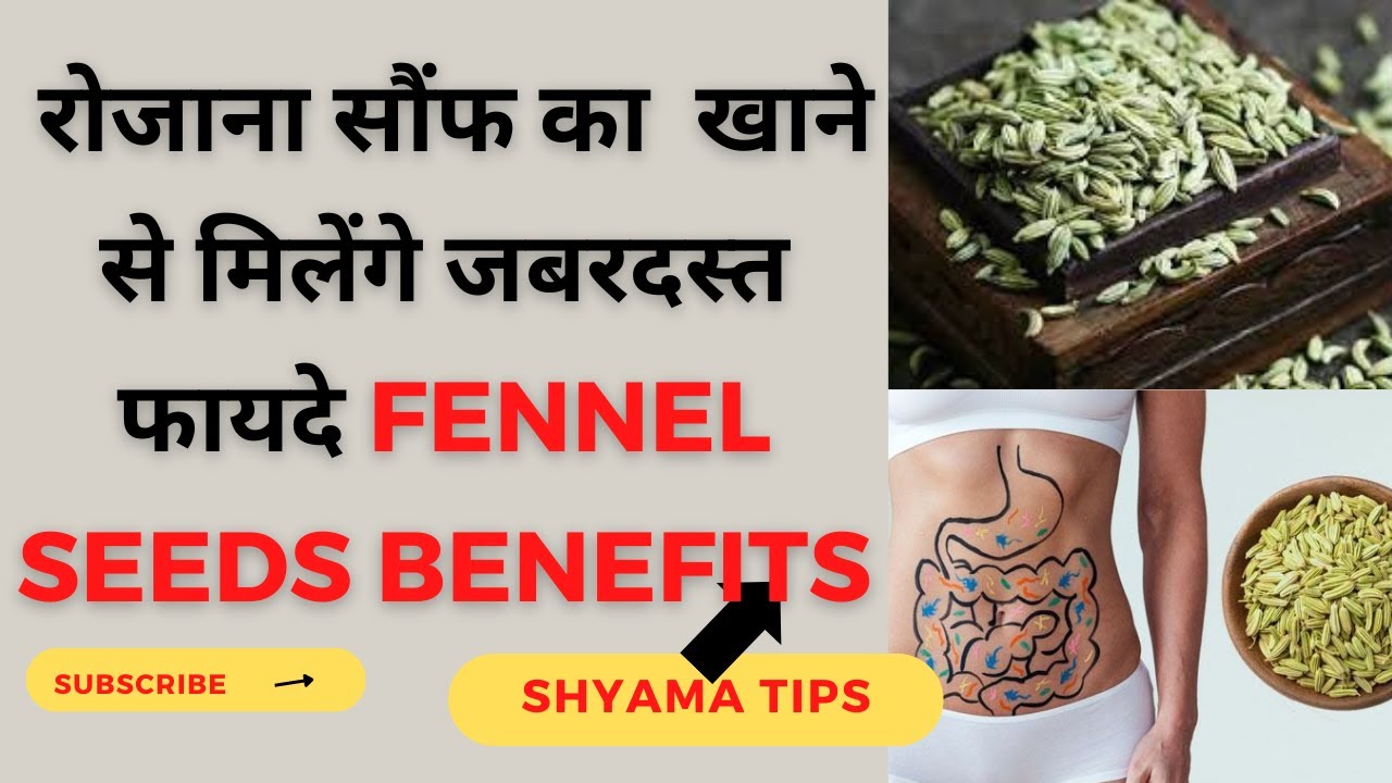 Fennel Seeds Benefits गर्मी के मौसम में जरूर खाएं सौंफ, बॉडी को मिलेंगे बेहतरीन फायदे saunf ke fayde