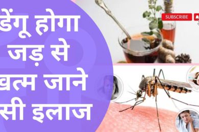Dengue treatment in hindi || डेंगू से बचाव के लिए घरेलू उपचार