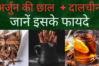 अर्जुन की छाल और दालचीनी के फायदे || Arjun ki chaal and cinnamon benefits