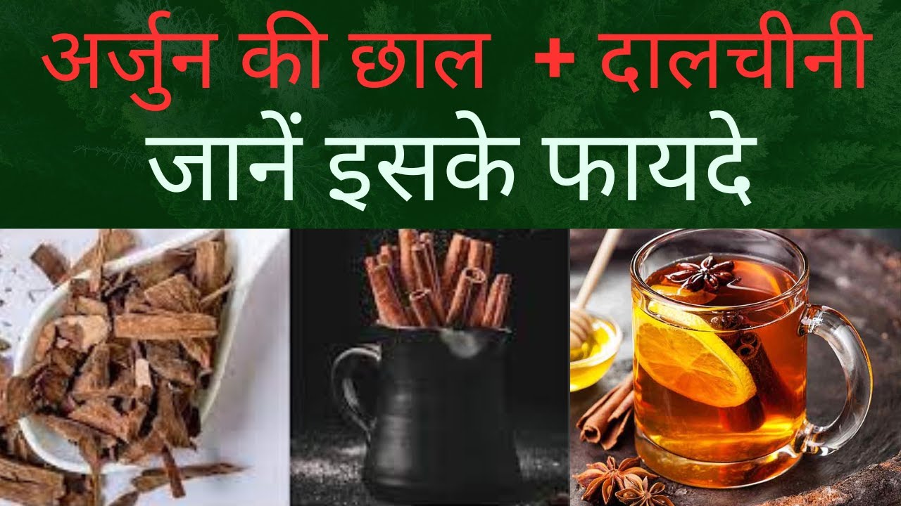 अर्जुन की छाल और दालचीनी के फायदे || Arjun ki chaal and cinnamon benefits