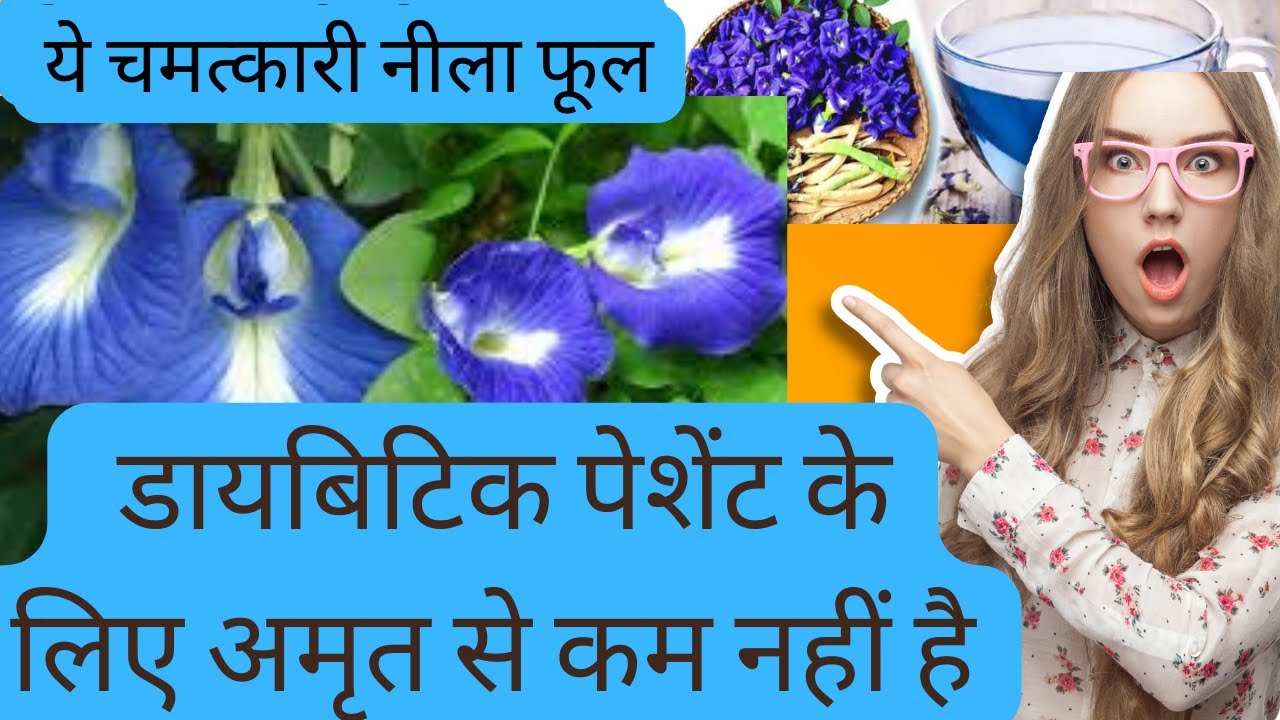 Aparajita Benefits in diabetes || कमाल का होता है अपराजिता का नीला फूल  || Tea For Diabetes