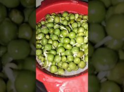 Sprouts Matar ke fayde 💚 | Health Tips #Shorts #gharelunuskhe #healthgyaani #food #healthtips