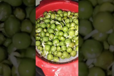 Sprouts Matar ke fayde 💚 | Health Tips #Shorts #gharelunuskhe #healthgyaani #food #healthtips