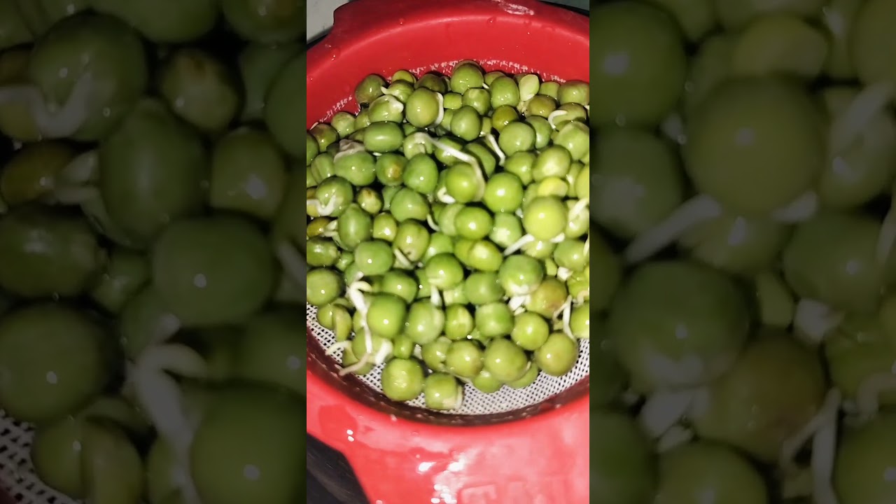 Sprouts Matar ke fayde 💚 | Health Tips #Shorts #gharelunuskhe #healthgyaani #food #healthtips