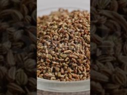 Uric Acid कंट्रोल करने के आसान तरीके #healthtips #shorts #uricacid #gharelunuskhe #shyamatips